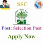 ssc selection post vii vacancy