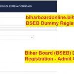 biharboardonline.bihar.gov.in BSEB Dummy Registration