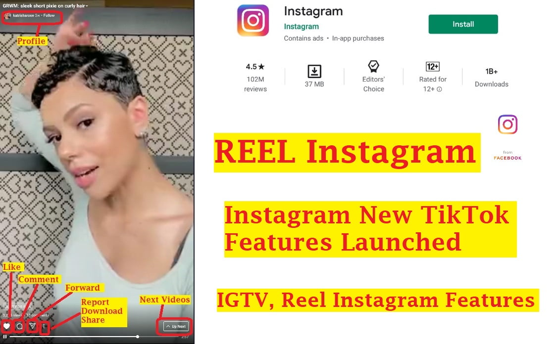 instagram download reel